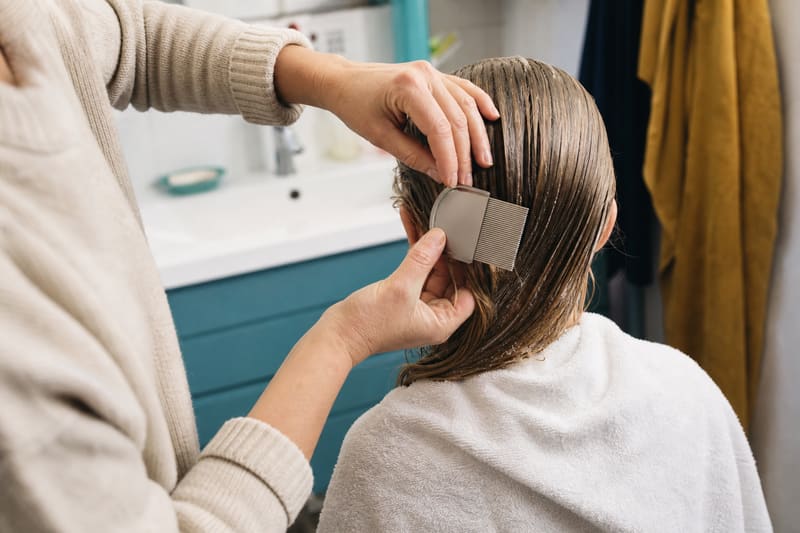 Peignage humide mèche par mèche avec un peigne à dents fines pour détecter les poux