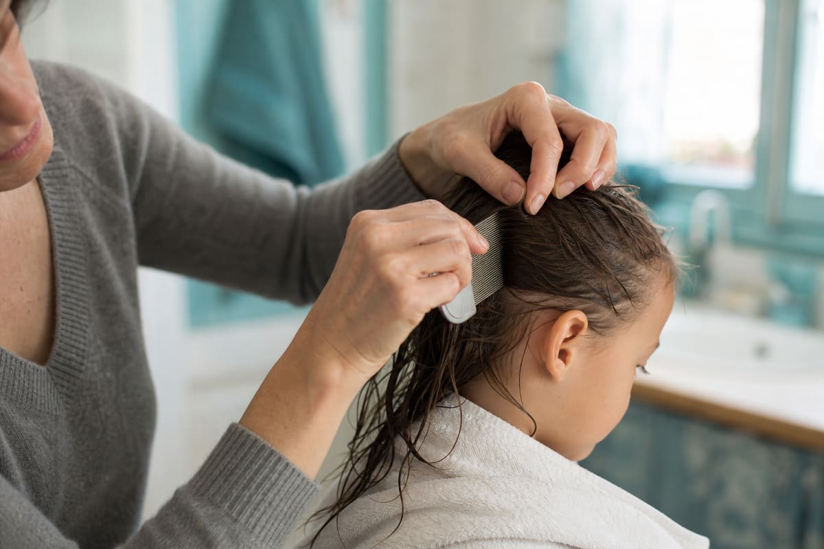 Parent peignant les cheveux mouillés d’un enfant avec un peigne à dents fines