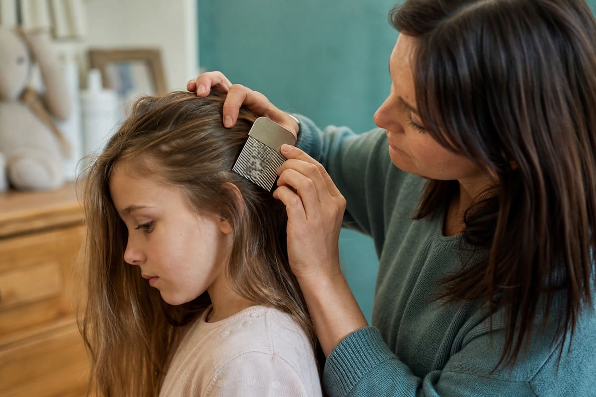 Peigne à poux métallique à dents fines, l'outil de référence de la détection
